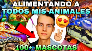 ALIMENTANDO A TODOS MIS ANIMALES (+100 MASCOTAS) *INCREÍBLE* | Tag De Las Mascotas 🐾 | Tomas Pasie