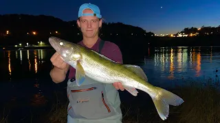 GIANT Walleye in Pittsburgh (Night Fishing Rivers During Fall)