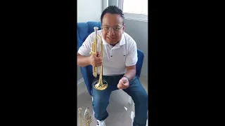 Lo que hay que saber antes de comprar una trompeta o una boquilla. 🎺🎺