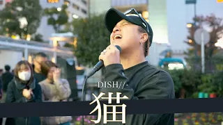 【歌詞付】100点満点の歌声!?路上版歌唱王シンガー 猫 / DISH//【川崎路上ライブ-23.11.19】by 髙橋一輝