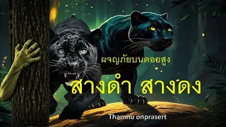 ๑๖๓.สางดำสางดง ผจญภัยบนดอยสูง