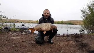 КАРП. ПОКЛЁВКА. Борьба в честных условиях. 6 КГ