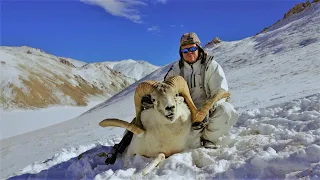 Трофеи Памира. К вершинам охоты. Первая серия