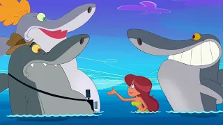 Zig & Sharko 😭 SHARKO'S PARENTS HATE MARINA 😭 Full Episodes HD