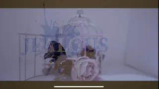 JEALOUS/禍P【勝手にmv作ってみた】