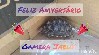 Aniversário de 1 ano da Gamera