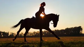 Diamonds ☆ Equestrian Music Video