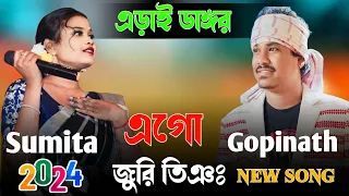 A Go Juri Ting | Gopinath & Sumita | Jhakas Music Band | Santali Program Video 2024