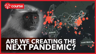 Zoonotic Diseases - How the next Pandemic could happen