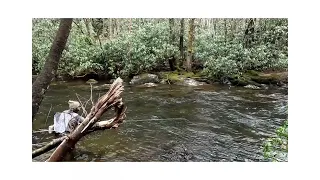 Fly Fishing Cherokee/Snowbird WNC