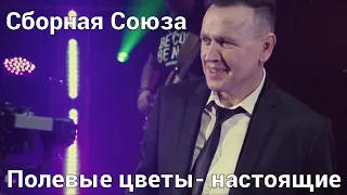 "ПОЛЕВЫЕ ЦВЕТЫ" - НАСТОЯЩИЕ - СБОРНАЯ СОЮЗА