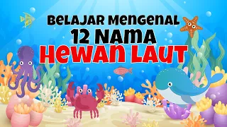 Belajar Mengenal Nama 12 Hewan Laut