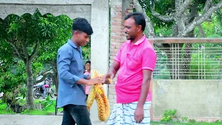 King Cobra Snake Prank 🐍 (Part 22) | Fake Snake Prank Video | 4 Minute Fun