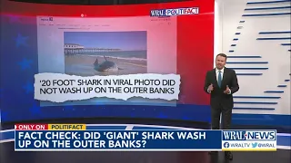 Checking claim about beached shark on Outer Banks