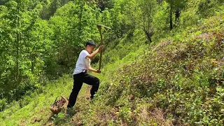 挖野菜晒野菜凉拌野菜配腊肉，味道真爽口，大自然的天然美食，赞