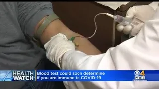 Blood test could soon determine if you are immune to COVID-19