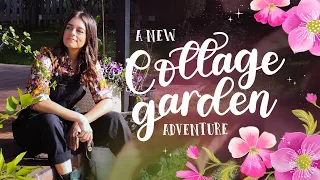 A New Cottage Garden Adventure 🐞 Starting Over with an Aussie Dad