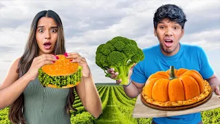 Eating Only VEGAN FOOD For 24 Hours 🌱 සිංහල vlog | Yash and Hass