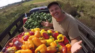 WELCOME TO FALL VEGETABLE HARVEST