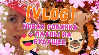 [VLOG] Новая собачка + планы на будущее ♥ РУССКАЯ ЖИВАЯ КУКЛА БАРБИ ♥Карина Барби♥