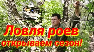 Ловля роёв (первый опыт)!  Ставлю ловушки для пчел - открываем сезон!