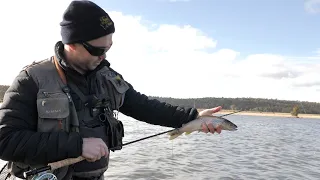 Fly Fishing Tips For Beginners (...Plus We Caught A Fish!) - Trout Fishing Tasmania