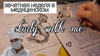 Study with me // зачетная неделя в медицинском // первый зачет (по остеологии) // моя учеба в меде