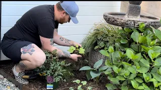 Planting Astilbe & Dutzia 😍 I’m OBSESSED!! || Visit Our Garden