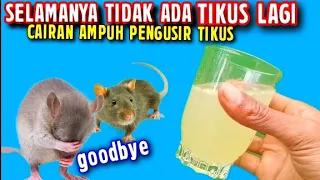 SELAMANYA RUMAH KALIAN TIDAK ADA TIKUS LAGI, BEGINI CARA MEMBUAT RAMUAN AMPUH PENGUSIR TIKUS