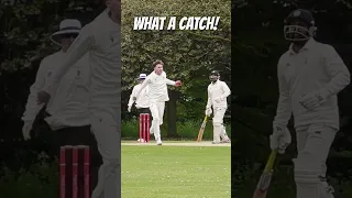 Brilliant CAUGHT & BOWLED! #shorts #cricket #catch #caughtandbowled #kohli #dhoni #sachin