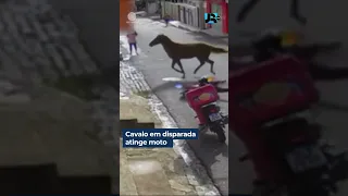 Cavalo em disparada atinge em cheio uma moto na Paraíba #shorts #JornalDaRecord