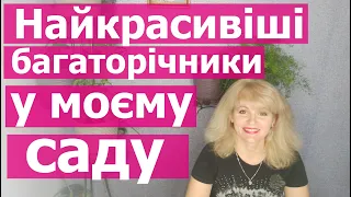 Невибагливі квіти для саду. Найкращі багаторічники. Найкращі однорічні квіти.