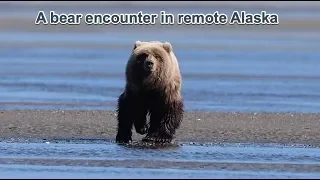 A bear encounter in remote Alaska