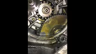 Cush drive or rear bearing