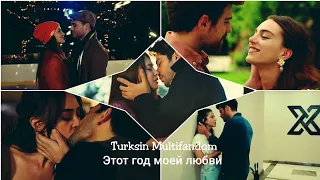 Turksin Multifandom // этот год моей любви