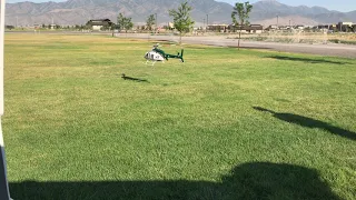 Bell 407 Hover