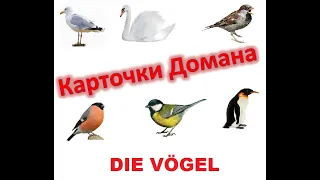 Карточки Домана №6 DIE VÖGEL - ПТИЦЫ (немецкий язык)