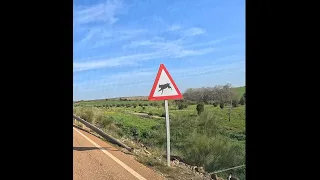 3 DAGEN IN THE MIDDLE OF NOWHERE, op de Campo #camperlife #andalusië #bordercollies #camperleven