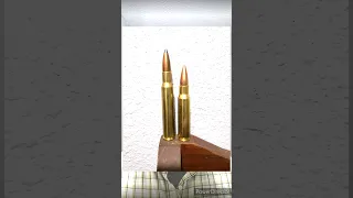 30-06 Springfield VS 308 Winchester in 1 minute!