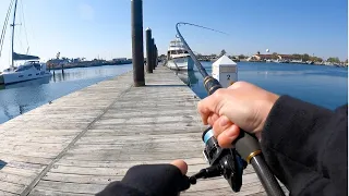 DOCK FISHING with JIGS for Whatever Bites (Nonstop Redfish Action)