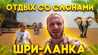 ШРИ-ЛАНКА ОТДЫХ С СЛОНАМИ/ПЛЯЖИ КОЛОМБО/ПИННАВЕЛА