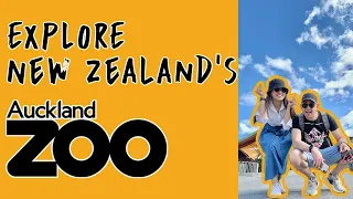 New Zealand's Auckland Zoo | PiSquared