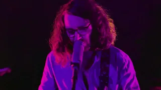 Psychedelic Porn Crumpets - Cubensis Lenses (live Levitation Sessions) [CC: lyrics/subtítulos]