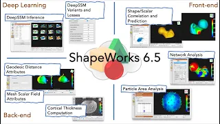 ShapeWorks 6.5