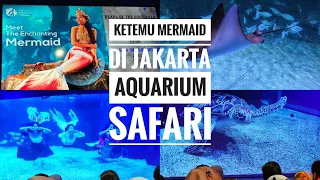 Ketemu Mermaid Di Jakarta Aquarium Safari New Soho Mall Central Park