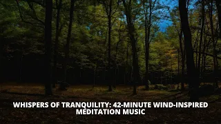 Relaxing Wind Sounds for Meditation & Deep Sleep