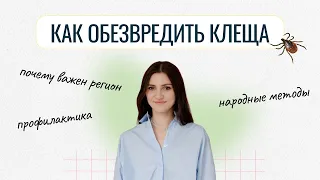 Что делать, если укусил клещ? Первая помощь и признаки инфицирования.