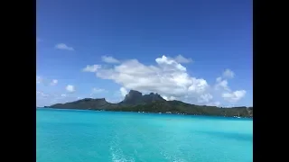 Scuba Diving French Polynesia 2018 - HD1080