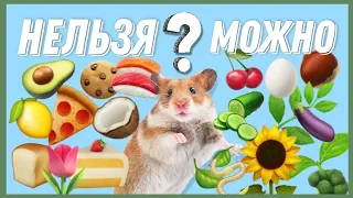 Чем Кормить Хомяка? 🐹 || Питание Хомяков 🥦 || Как Ухаживать за Хомяком ❓️