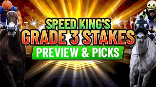 Grade 3 The Very One Stakes | Preview & Picks 10th Race Gulfstream Park 3/2/2024.